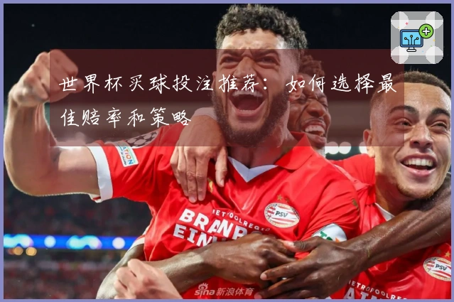 世界杯买球投注推荐：如何选择最佳赔率和策略