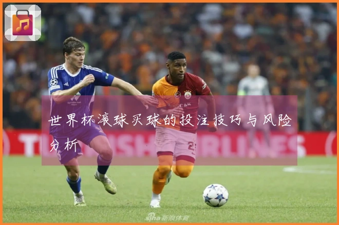 世界杯滚球买球的投注技巧与风险分析