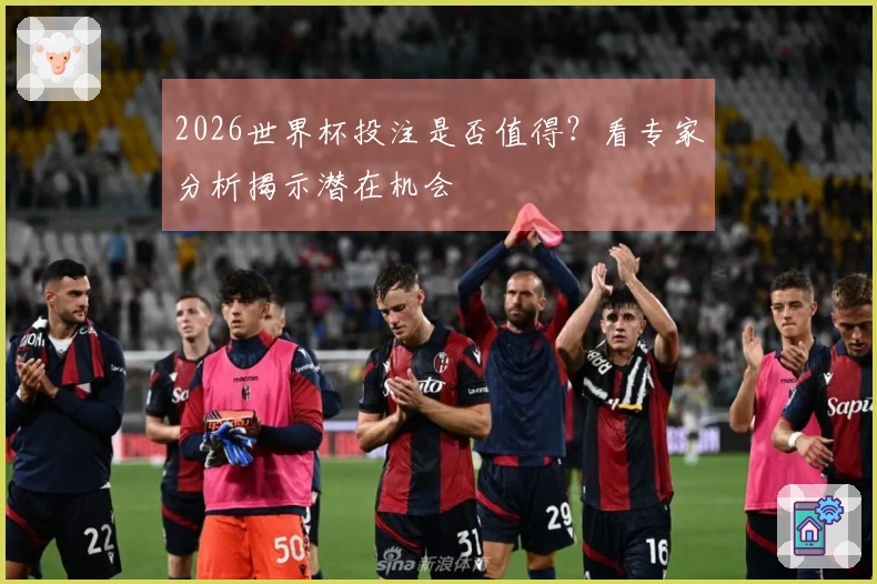 2026世界杯投注是否值得？看专家分析揭示潜在机会