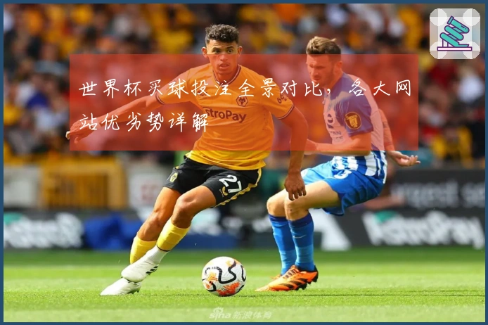 世界杯买球投注全景对比，各大网站优劣势详解