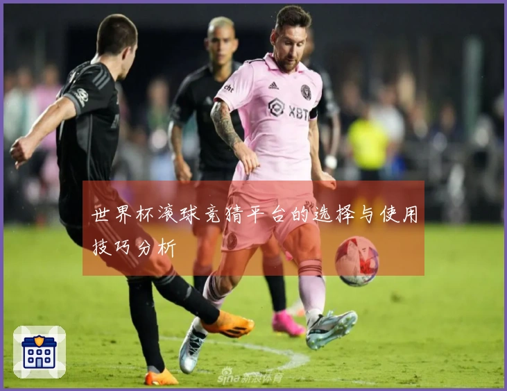 世界杯滚球竞猜平台的选择与使用技巧分析