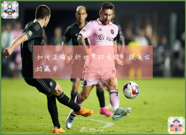 如何正确分析世界杯竞猜，提高你的赢率