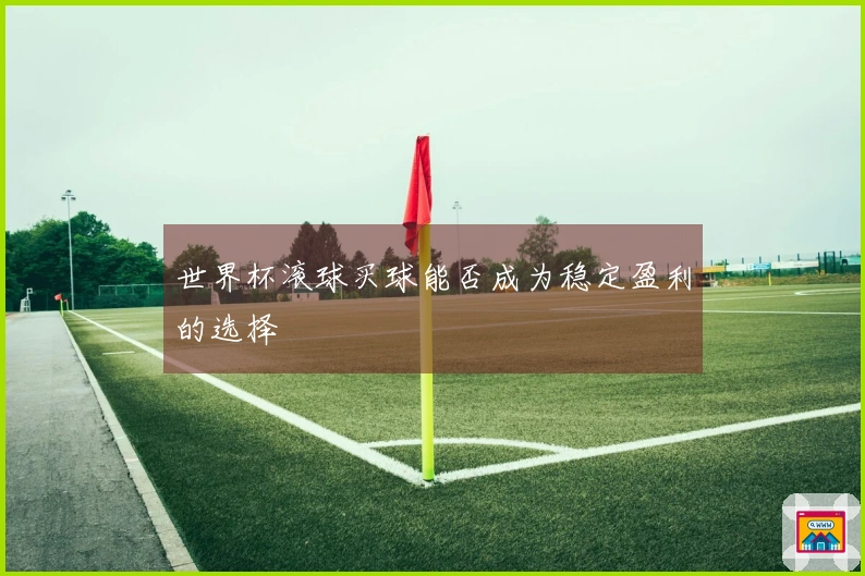 世界杯滚球买球能否成为稳定盈利的选择