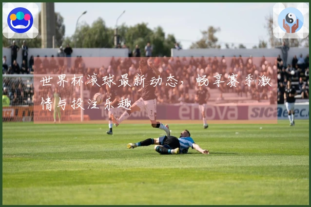 世界杯滚球最新动态，畅享赛季激情与投注乐趣