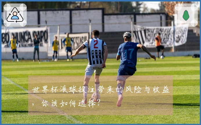 世界杯滚球投注带来的风险与收益，你该如何选择？