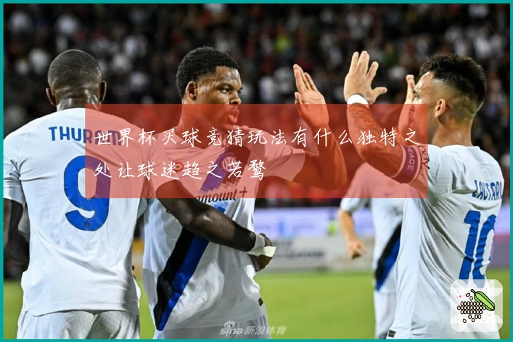 世界杯买球竞猜玩法有什么独特之处让球迷趋之若鹜