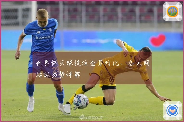 世界杯买球投注全景对比，各大网站优劣势详解