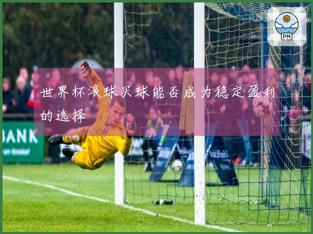 世界杯滚球买球能否成为稳定盈利的选择