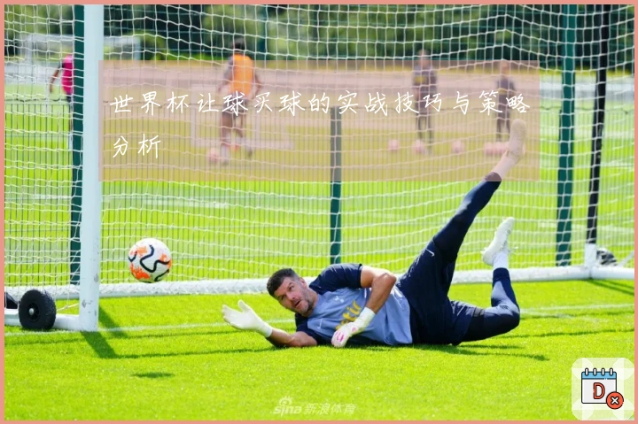 世界杯让球买球的实战技巧与策略分析