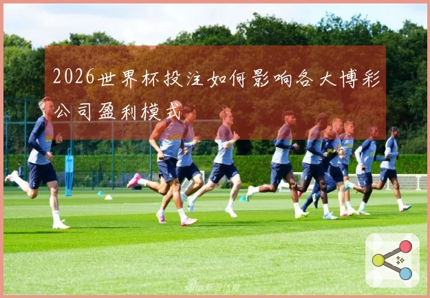 2026世界杯投注如何影响各大博彩公司盈利模式