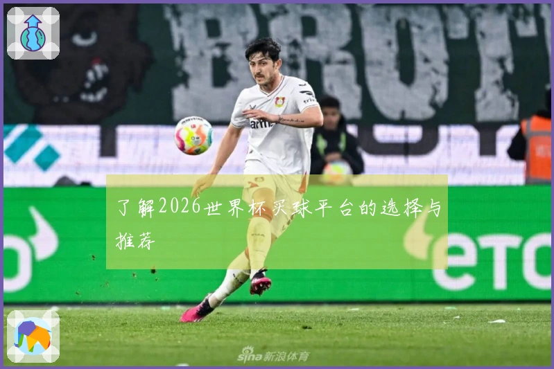 了解2026世界杯买球平台的选择与推荐