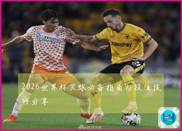 2026世界杯买球必备指南与投注技巧分享