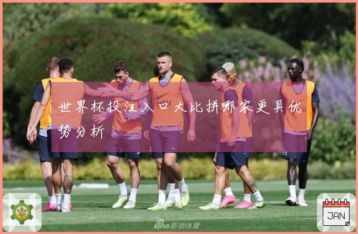 世界杯投注入口大比拼哪家更具优势分析