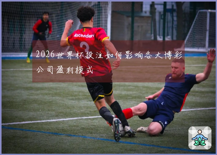 2026世界杯投注如何影响各大博彩公司盈利模式