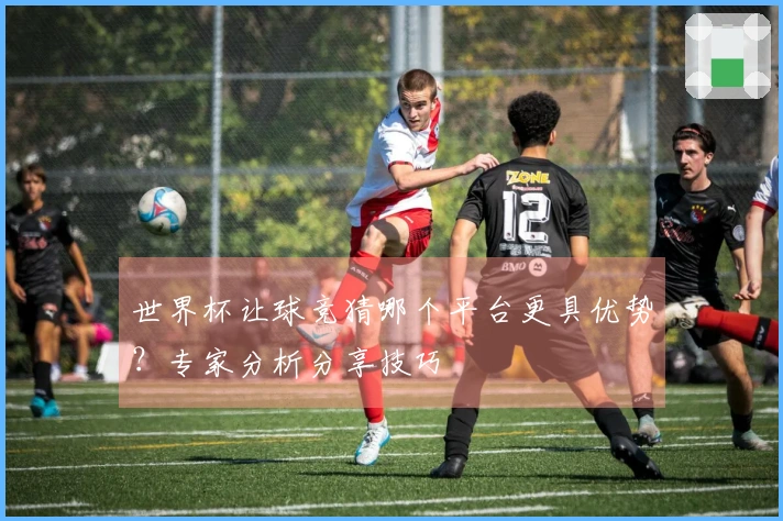 世界杯让球竞猜哪个平台更具优势？专家分析分享技巧