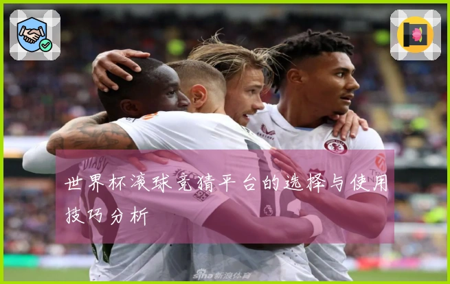 世界杯滚球竞猜平台的选择与使用技巧分析
