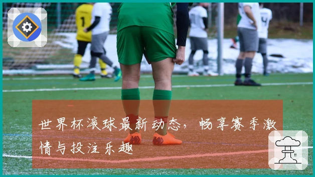 世界杯滚球最新动态，畅享赛季激情与投注乐趣