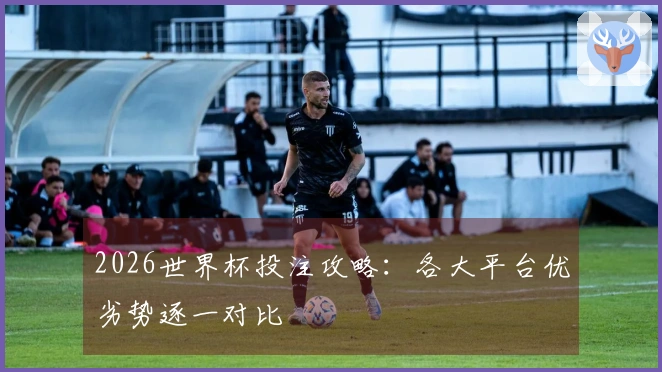2026世界杯投注攻略：各大平台优劣势逐一对比
