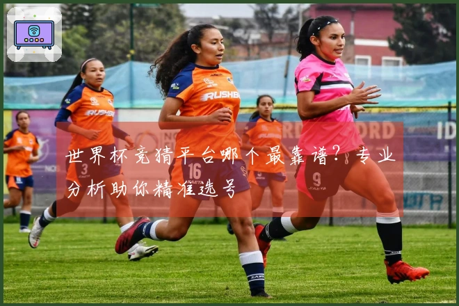 世界杯竞猜平台哪个最靠谱？专业分析助你精准选号