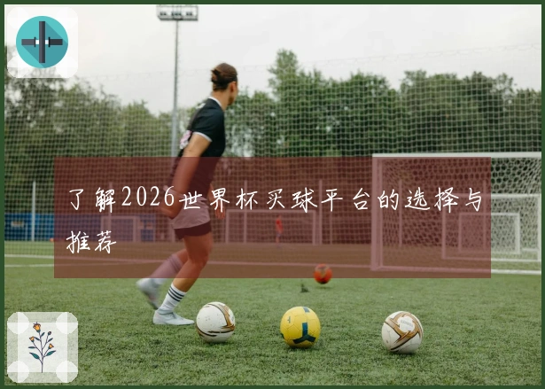 了解2026世界杯买球平台的选择与推荐