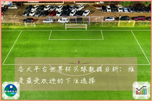 各大平台世界杯买球数据分析：谁是最受欢迎的下注选择