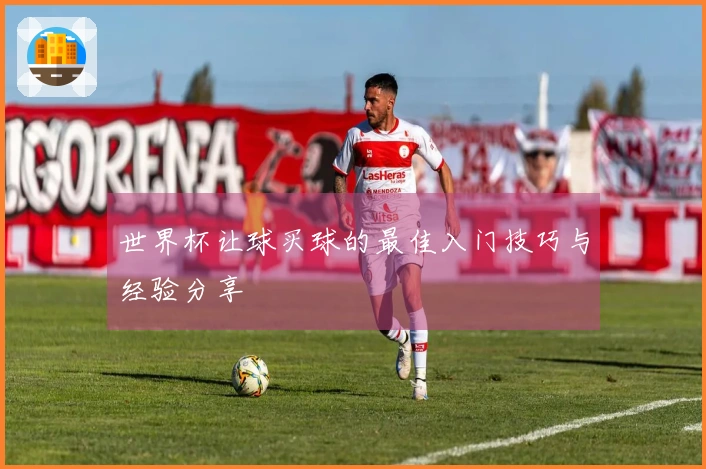 世界杯让球买球的最佳入门技巧与经验分享