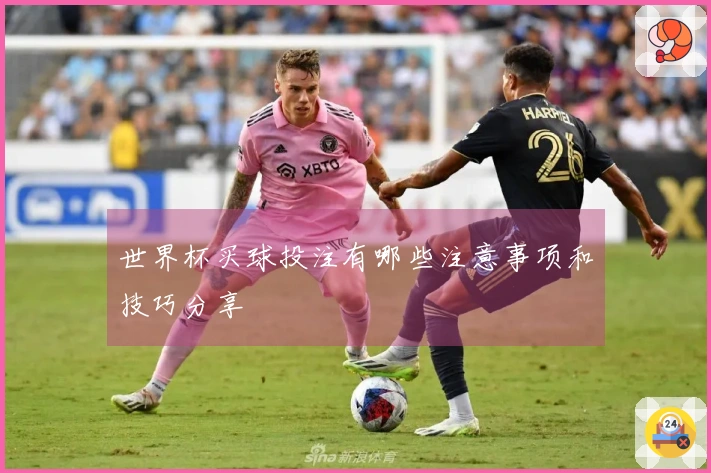 世界杯买球投注有哪些注意事项和技巧分享